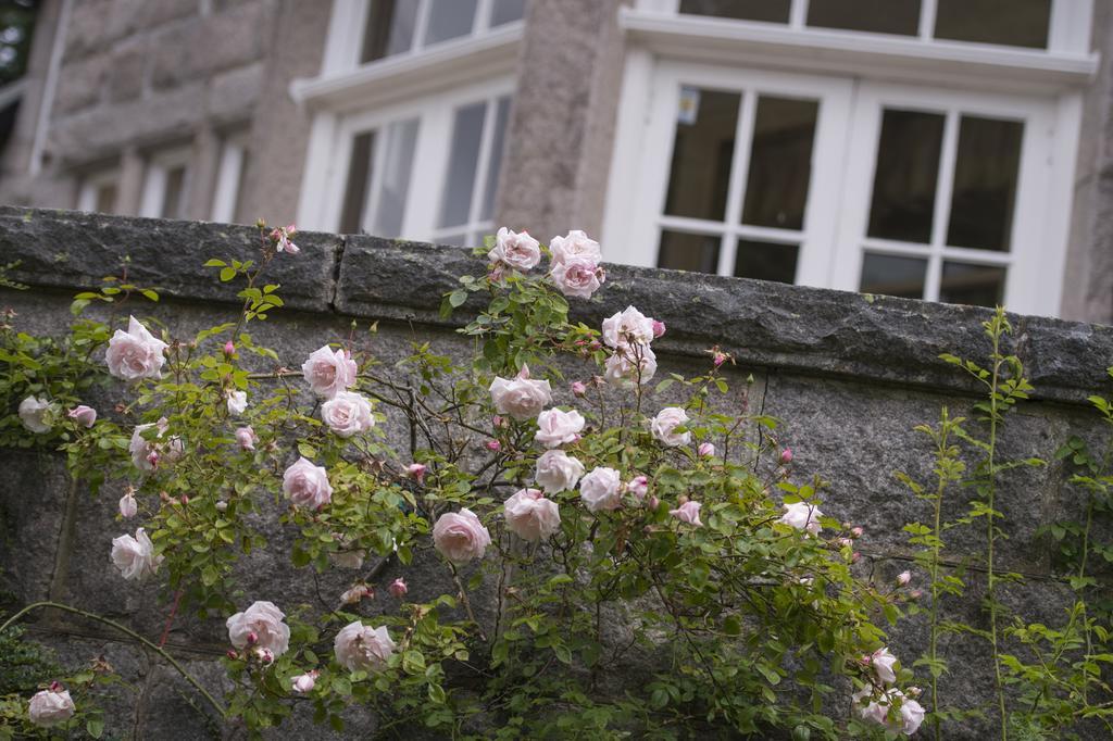 Bed and Breakfast Lys-Na-Greyne Aboyne Esterno foto